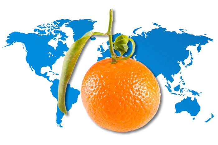 @griTech: In search of a formula that will put Florida tangerines on the map