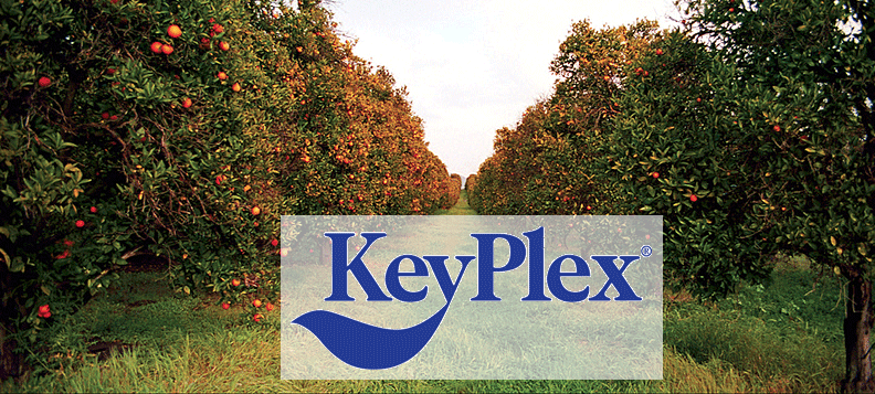 KeyPlex in the business of plant health