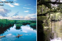 Florida recreation at its greenest