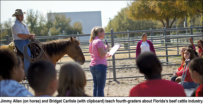 Fourth-grade introduction to beef cattle