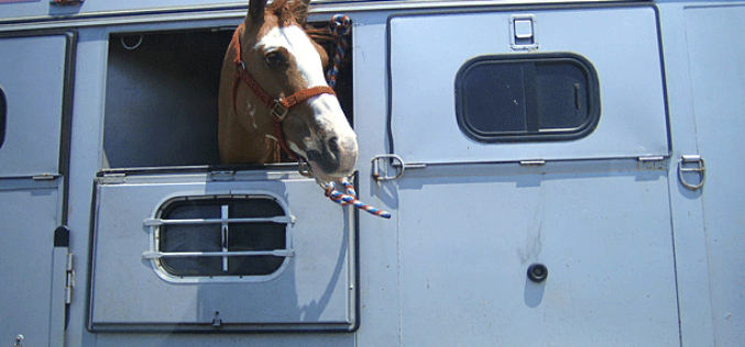 Travelin’ with your equine
