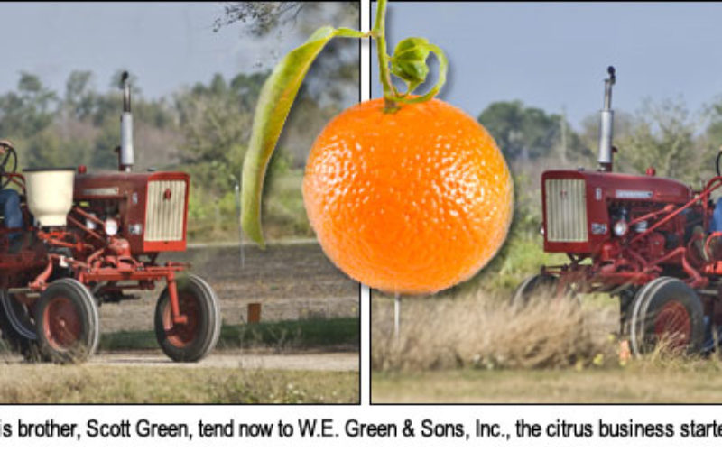 All in the Family of Citrus Growers