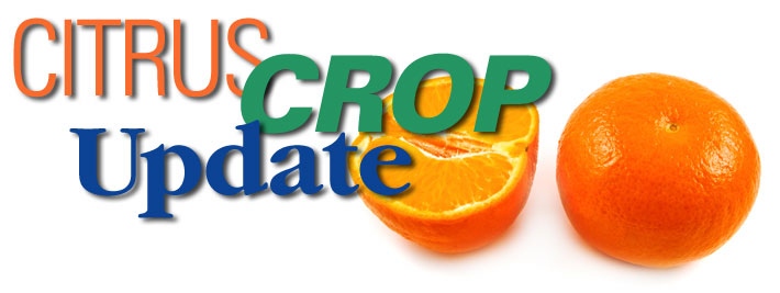 Citrus Crop Update: USDA Predicts Slimmer Harvest for Valencia Variety