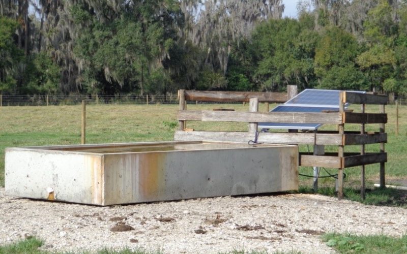 Solar Pumps for Watering Cattle