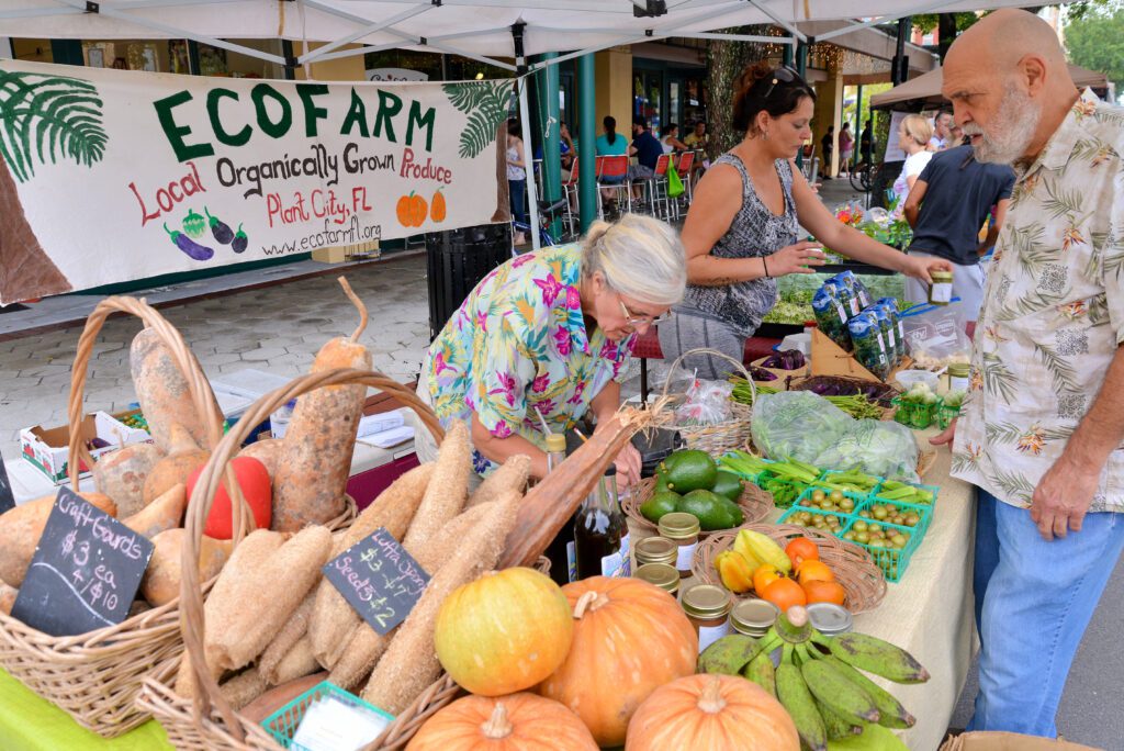 Recipe Spotlight: How to cook like a pro with food from your farmers’ market