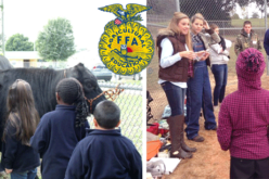 FFA Corner: Ag Time with Abby