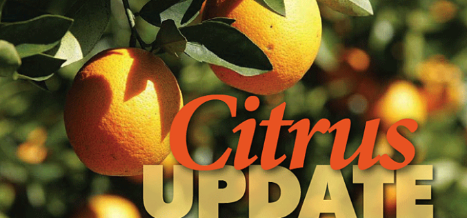 Citrus forecast projects slight decline; HLB funding announced
