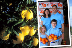 In the citrus business for the long haul