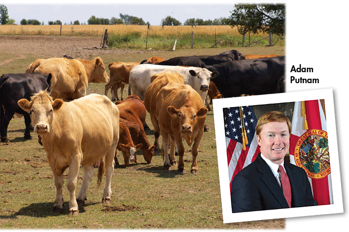 Commissioner’s AgriCorner: Strengthening Florida’s livestock industry