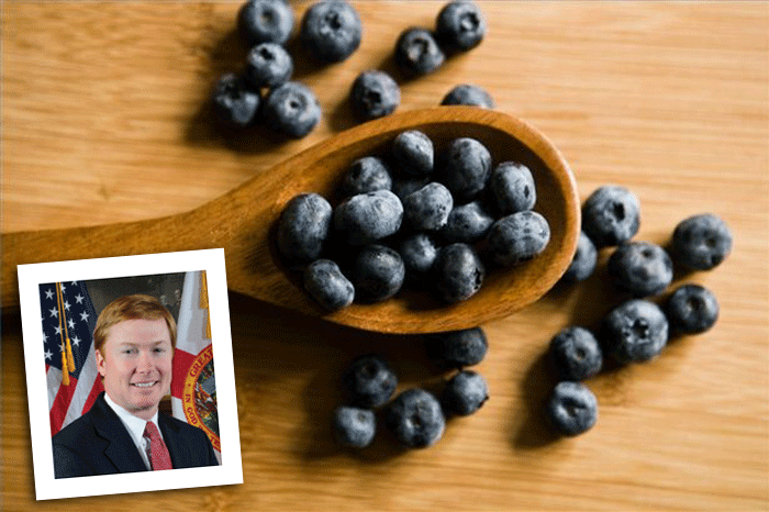 Commissioner’s AgriCorner: A spoonful of facts and forecasts for Florida blueberries