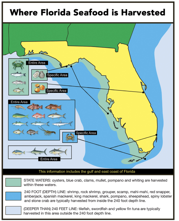 King Mackerel / Seafood Products / Buy Fresh From Florida / Consumer  Resources / Home - Florida Department of Agriculture & Consumer Services