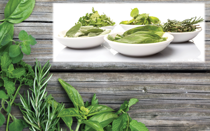 Recipe Spotlight: Cooking with herbs to dress up any plate