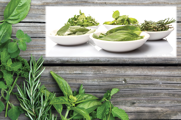 Recipe Spotlight: Cooking with herbs to dress up any plate