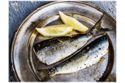 Recipe Spotlight: Cooking ideas for your fresh catch