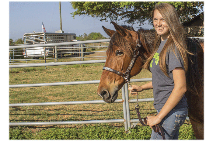 Three things every novice horseback rider should know before starting lessons