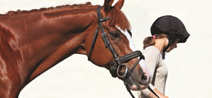 Equine Summer Camp Safety Tips for Young Riders