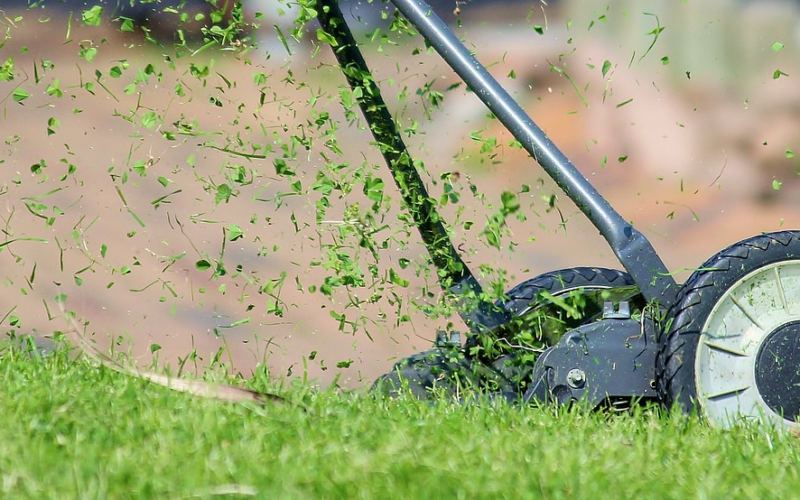 Lawn Care Tips Central Florida Ag News