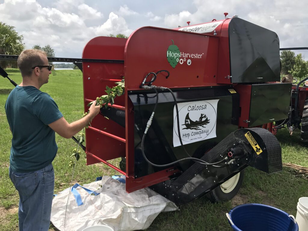 Harvesting Machine Eases Labor Demands for Growers of this New, Alternative Crop