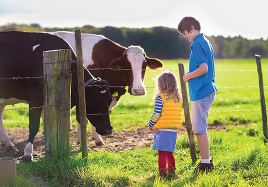 Florida Cattlemen’s Sweetheart Offers Tips on Teaching Youth About the Industry