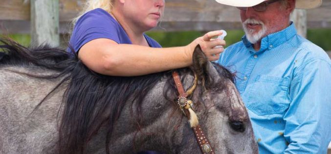 Living the Dream:  A Woman with Many Hats and a Heart for Cattle