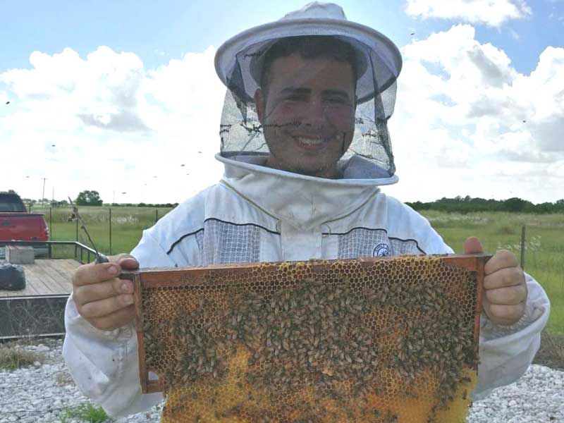 Eichar Apiary: Saving the Bees One Hive at a Time