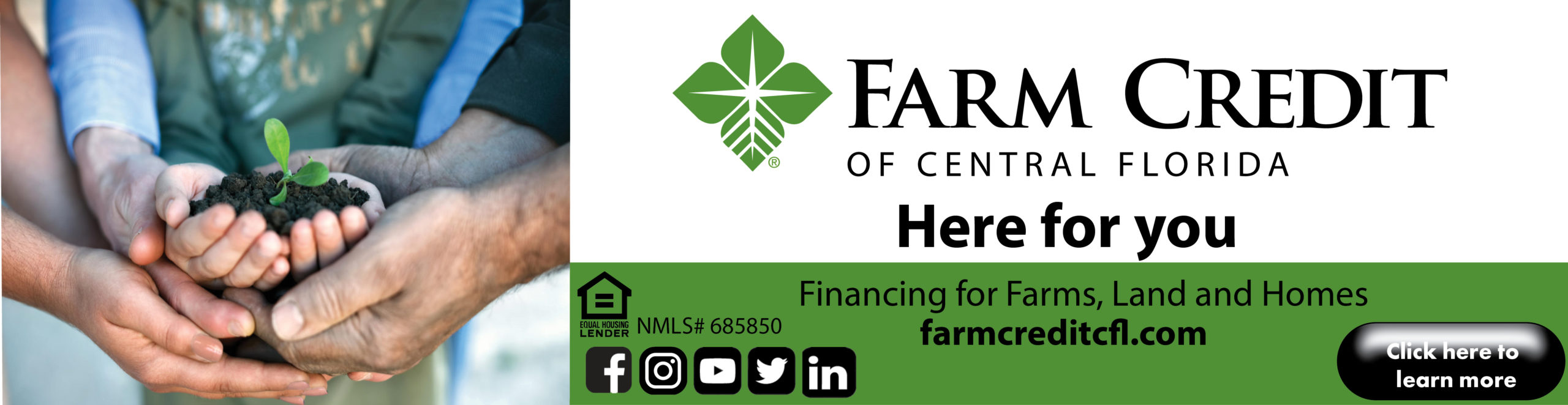 Signs of the Season &#8211; sponsored by Farm Credit of Central Florida