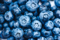 Florida Blueberries Prized for Health Benefits, Freshness