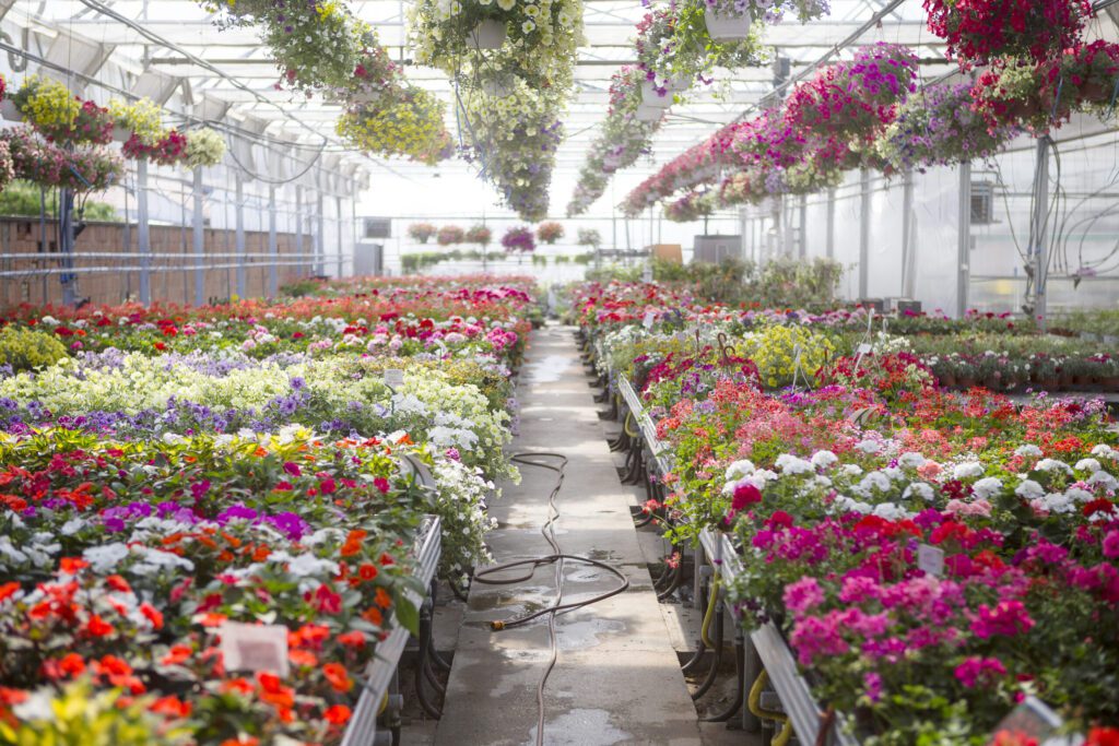 Signs of the Season: Ornamental, Horticulture Industries Play Big Role in State’s Economy