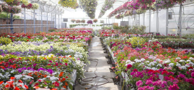 Signs of the Season: Ornamental, Horticulture Industries Play Big Role in State’s Economy