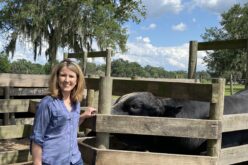 The Woman Behind Central Florida Youth in Agriculture 