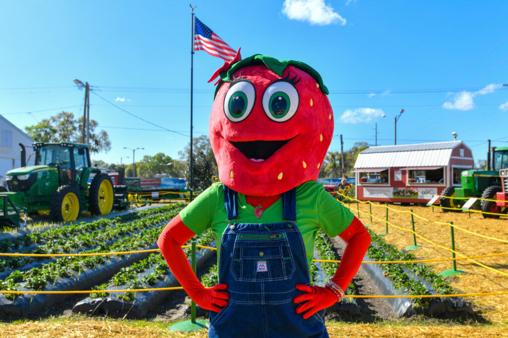 Check Out What&#8217;s in Store for this year&#8217;s Strawberry Festival