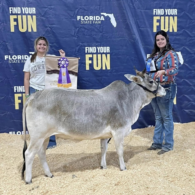 Polk Students Rise to the Top at State Fair