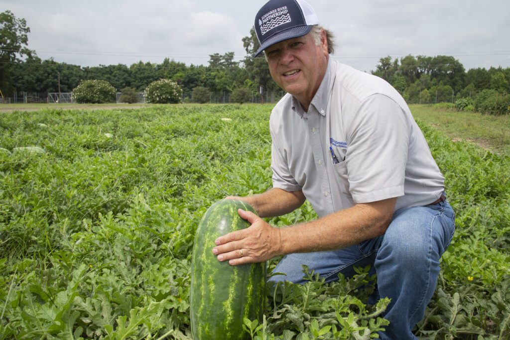 Florida Watermelon Growers Sold a Bumper Crop This Year