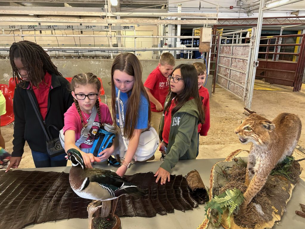2025 Agri-Fest