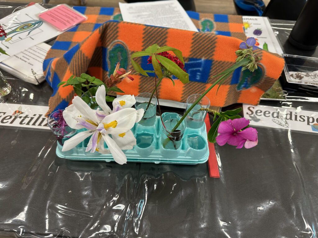 2025 Agri-Fest