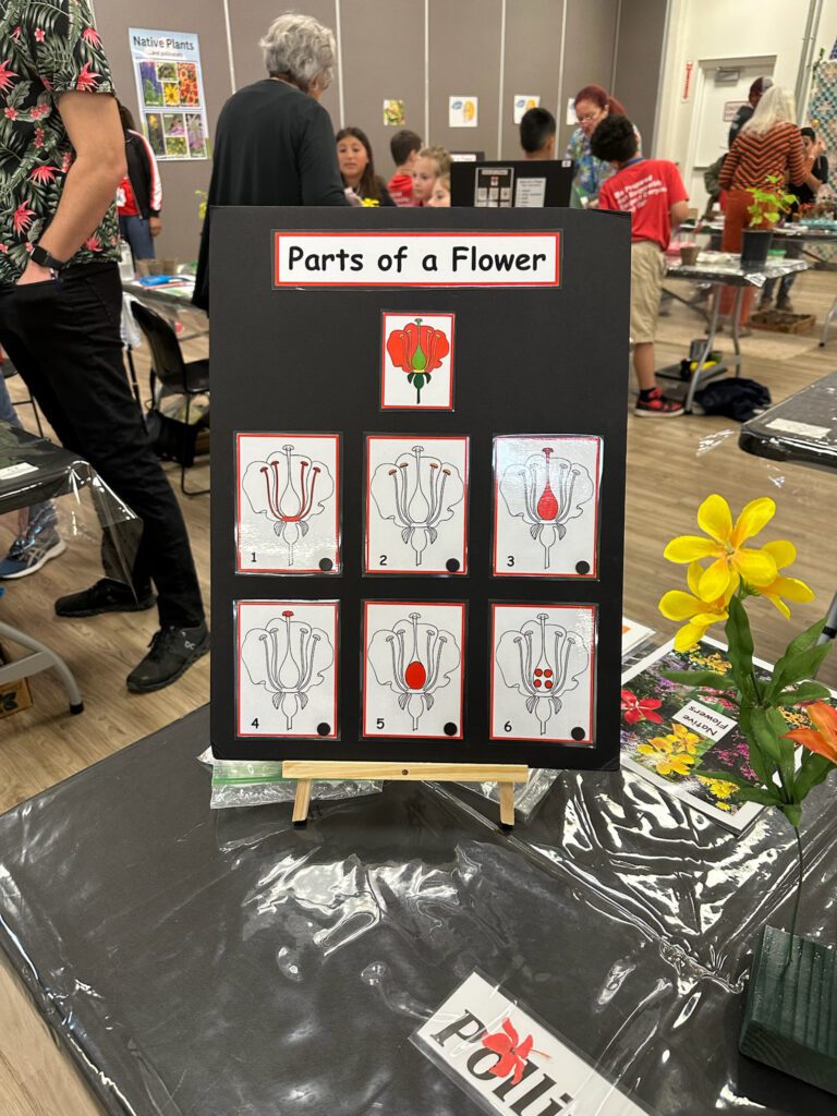 2025 Agri-Fest