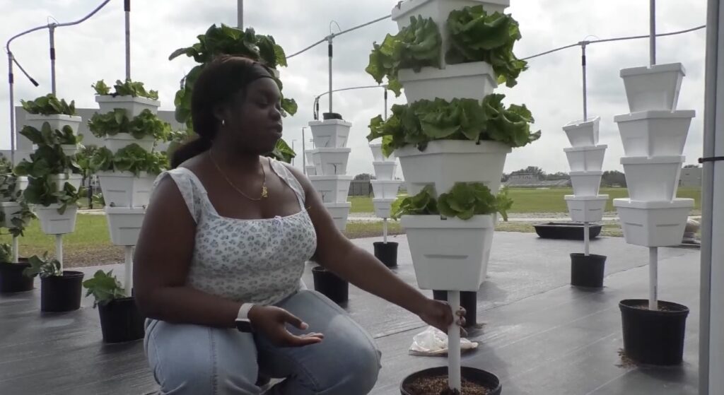Polk County School Students Awarded for Ag Accomplishments